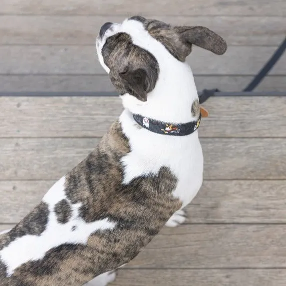 Adventure Collar Gotham