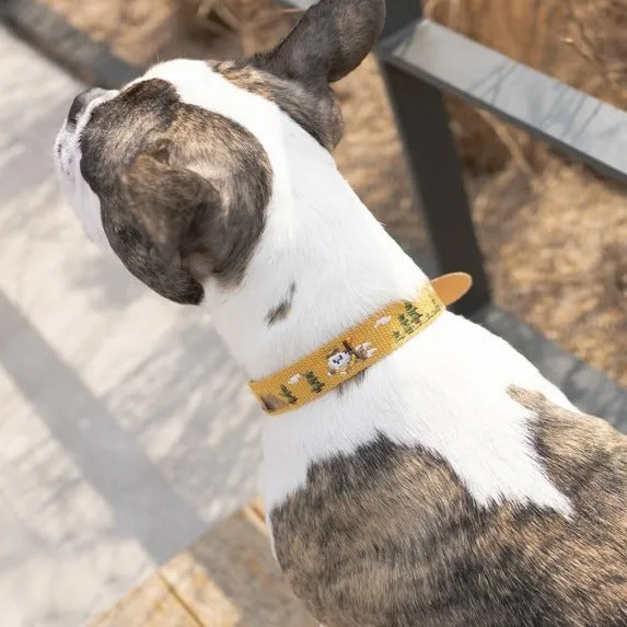 Adventure Collar Sahara