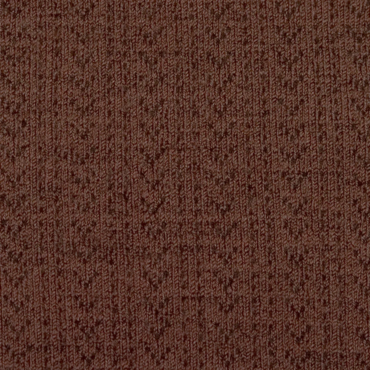 Angelique Pointelle Merino Wool Tights in Chocolat Au Lait by Collegien