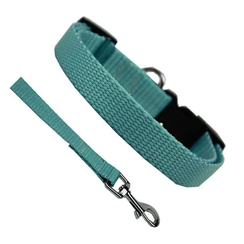 Basic Style Collar and Lead Set — Ocean
