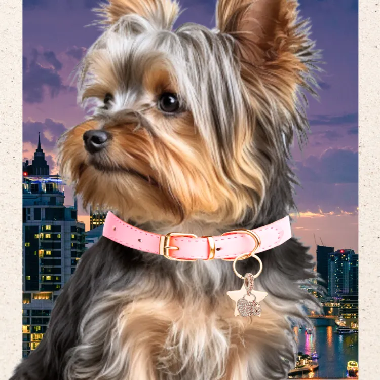 Bedazzled CZ Dog Collar Pendant Charms