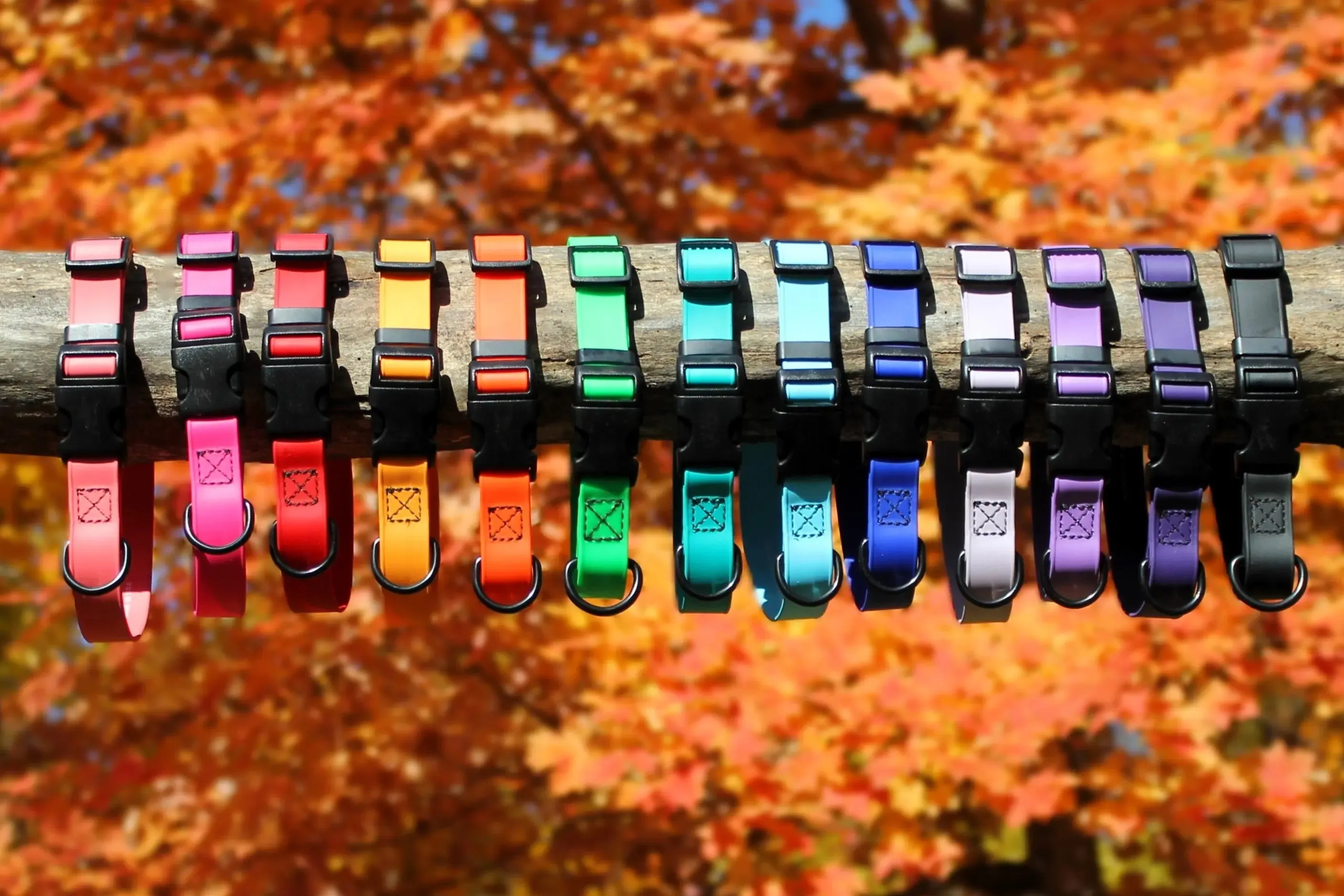 Biothane Collar