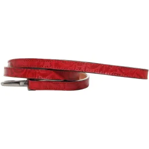 DL04 - Red Eagle Floral Leather Dog Leash