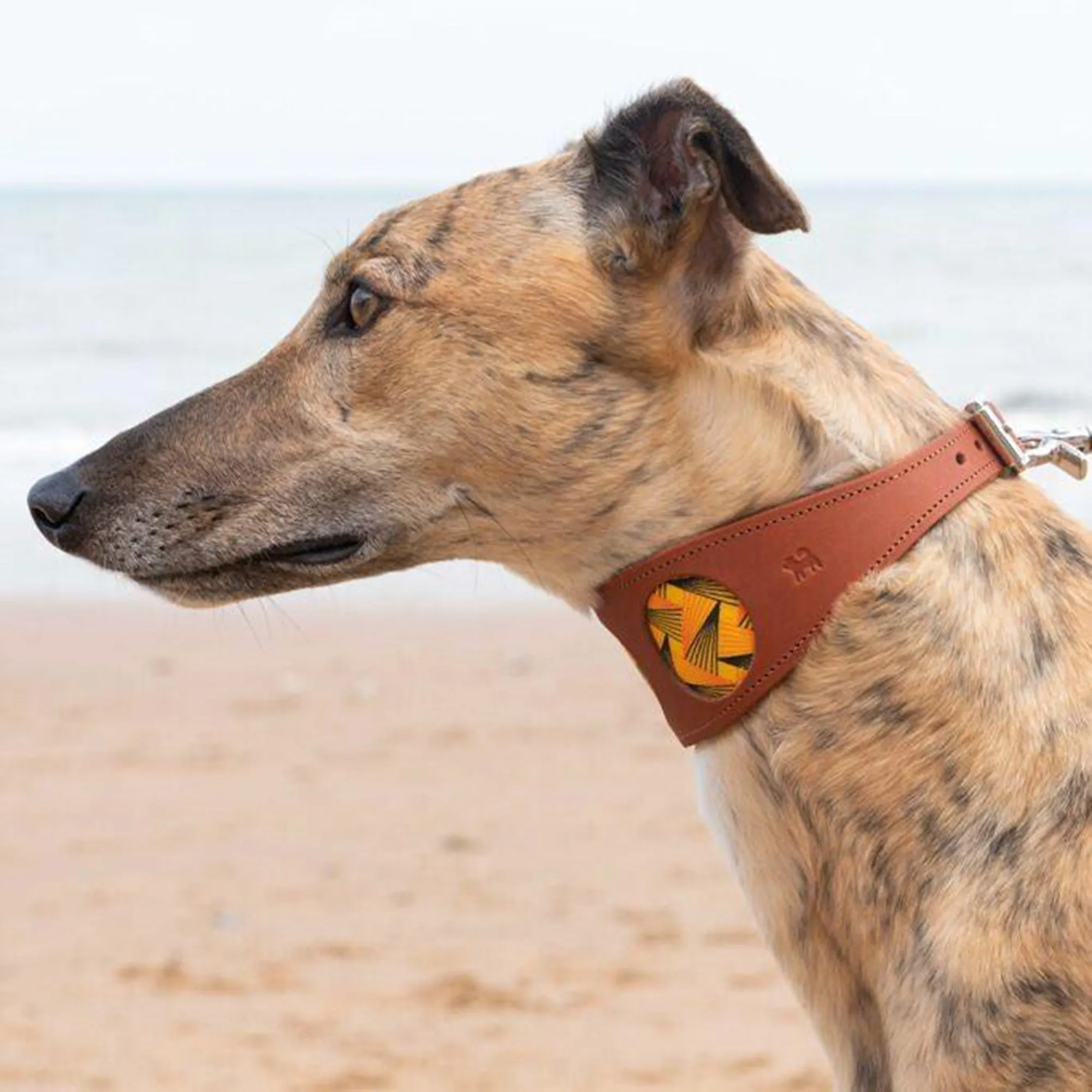 Fireworks Hound Collar - Multicolor Leather & Fabric | Bold & Comfortable for Sighthounds