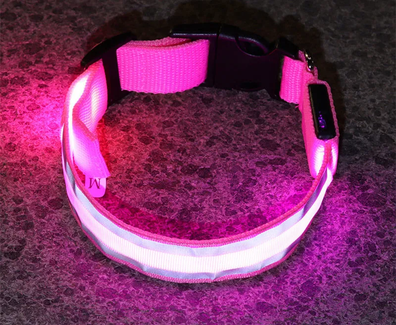 LED Luminous Dog Collar – Anti-Lost Safety Collar for Pets