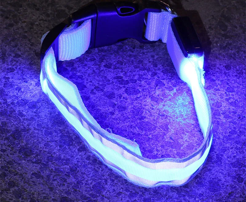 LED Luminous Dog Collar – Anti-Lost Safety Collar for Pets