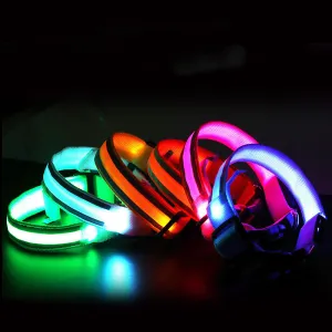 LED Luminous Dog Collar – Anti-Lost Safety Collar for Pets