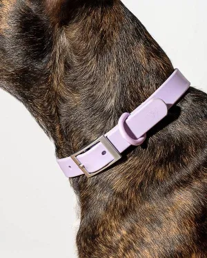 Lilac Collar