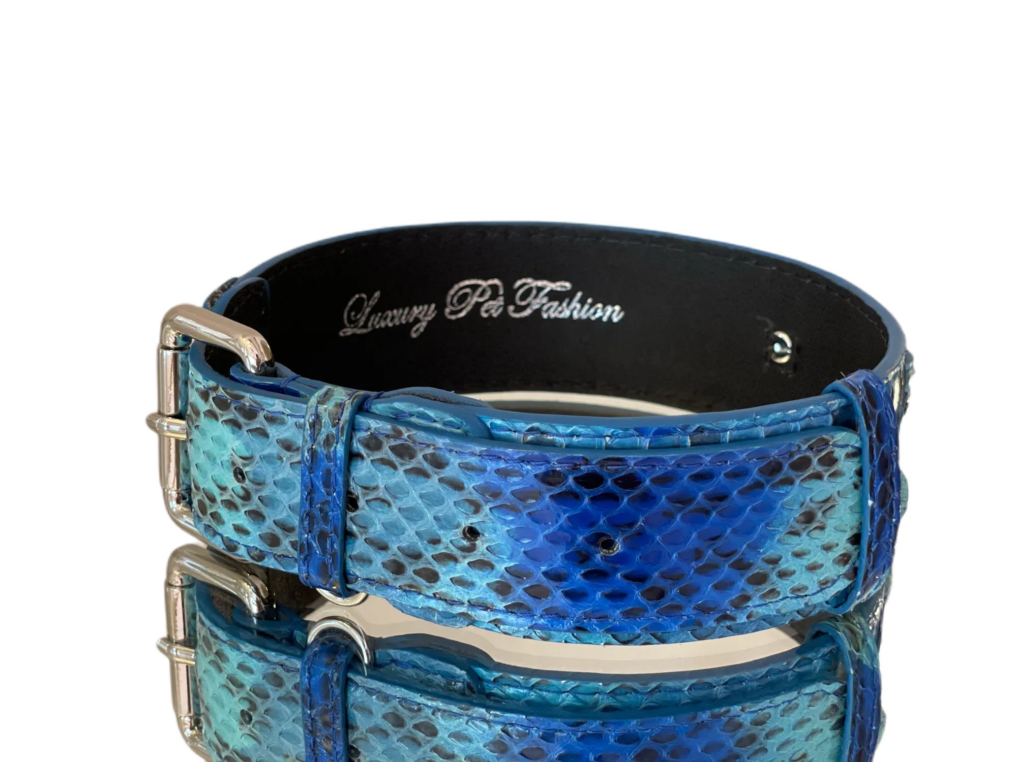 Luxury Pet Fashion Blue/Turquoise Snakeskin Collar/Classic Silver Hardware