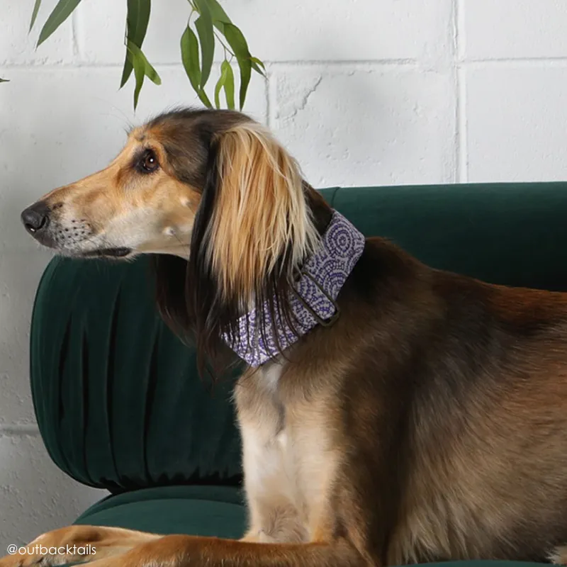 Outback Tails Leather Dog Collar