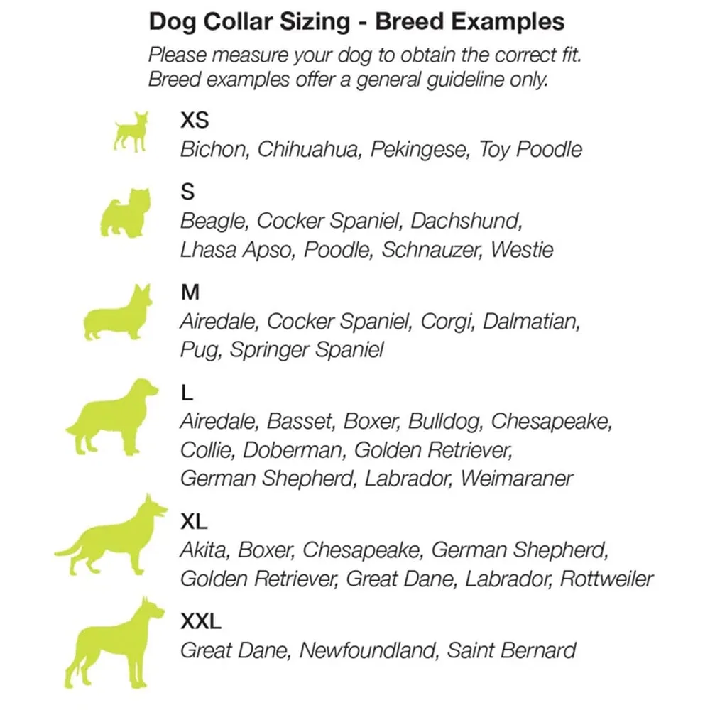 Personalized Pet Collar