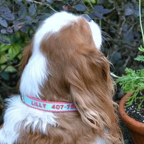 Personalized Pet Collar