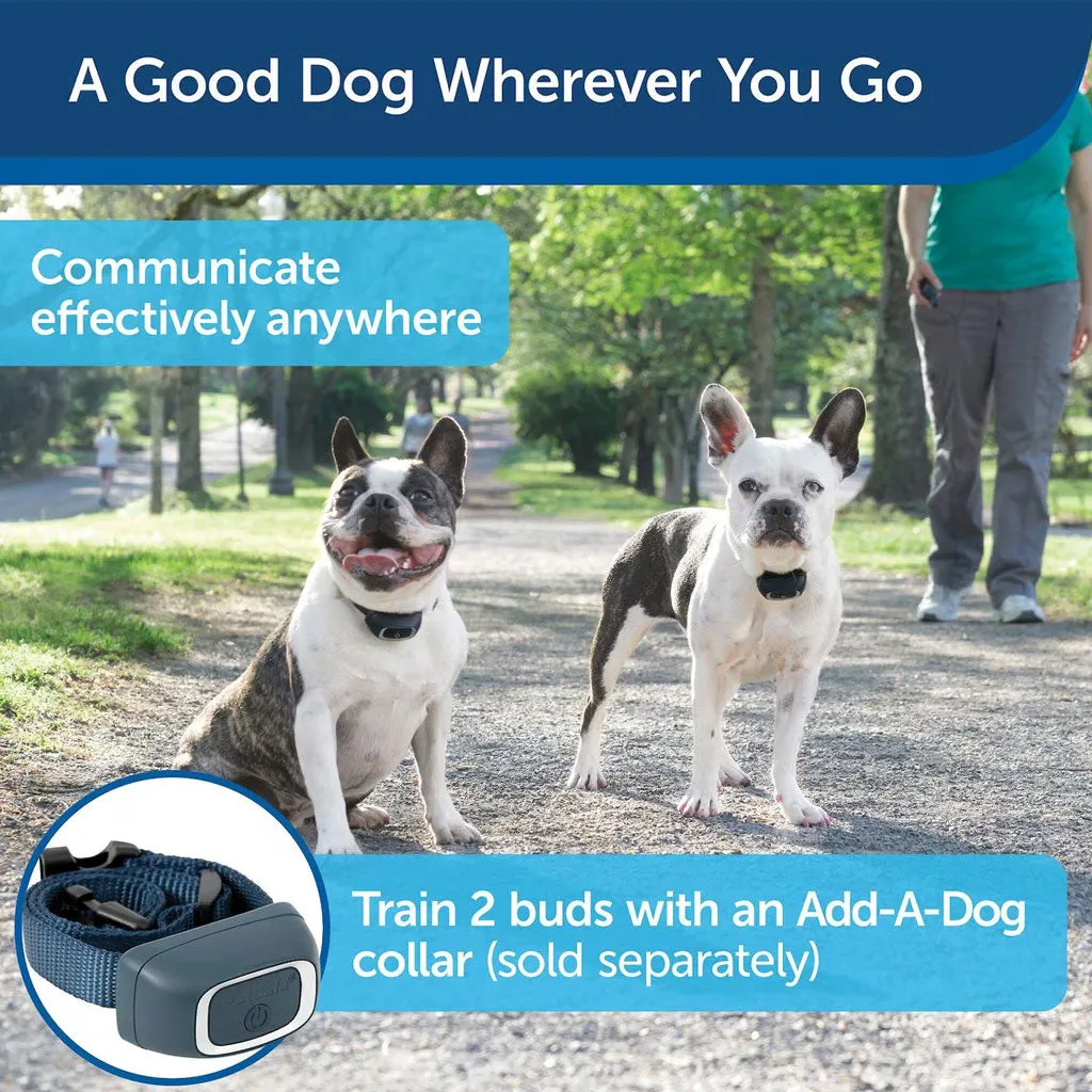 PetSafe Lite Remote Trainer Dog Collar