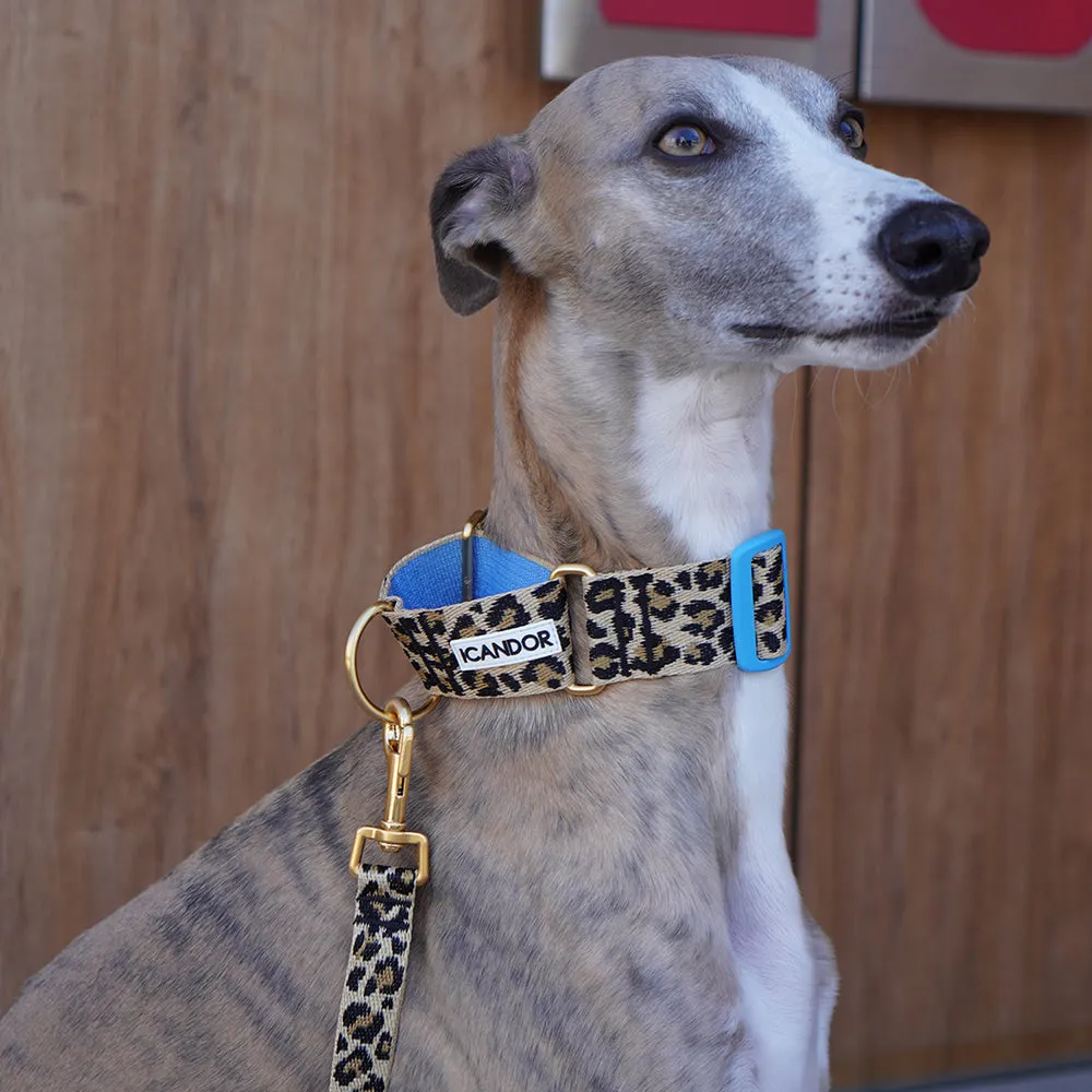 Smooth Martingale Collar 38mm (Leopard)