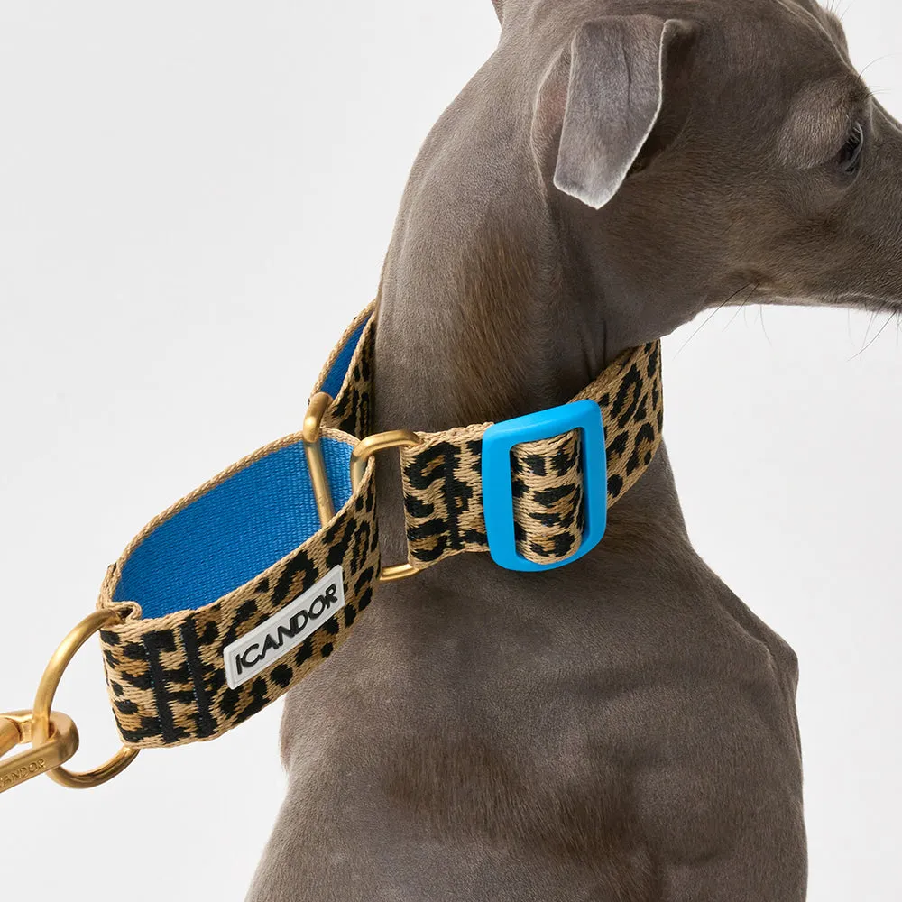 Smooth Martingale Collar 38mm (Leopard)
