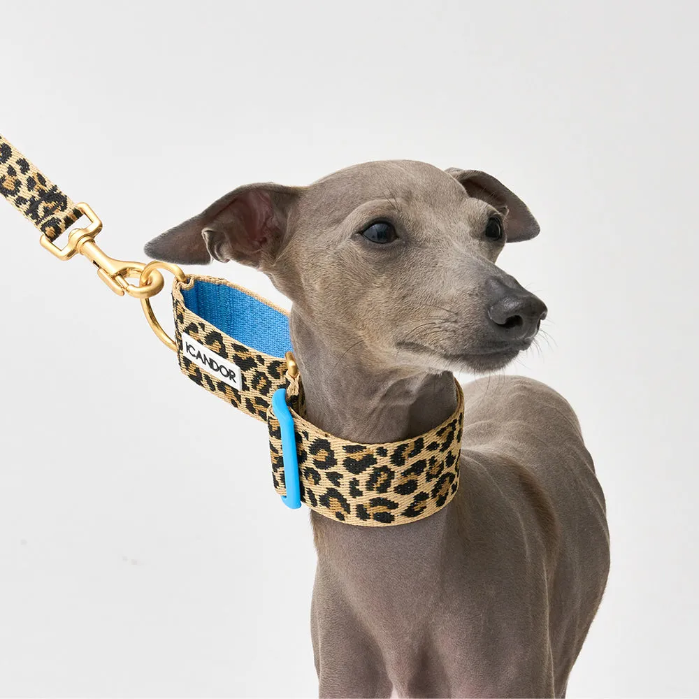 Smooth Martingale Collar 38mm (Leopard)