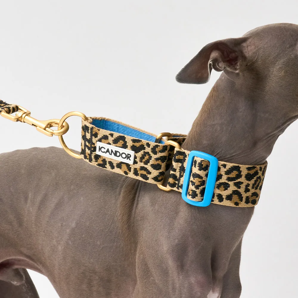 Smooth Martingale Collar 38mm (Leopard)