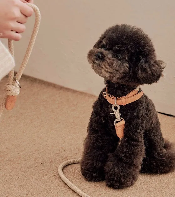 Stroll Light Weight Rope Collar