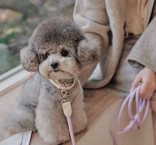 Stroll Light Weight Rope Collar