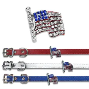 US Flag Small Pet Dog Collar Slide